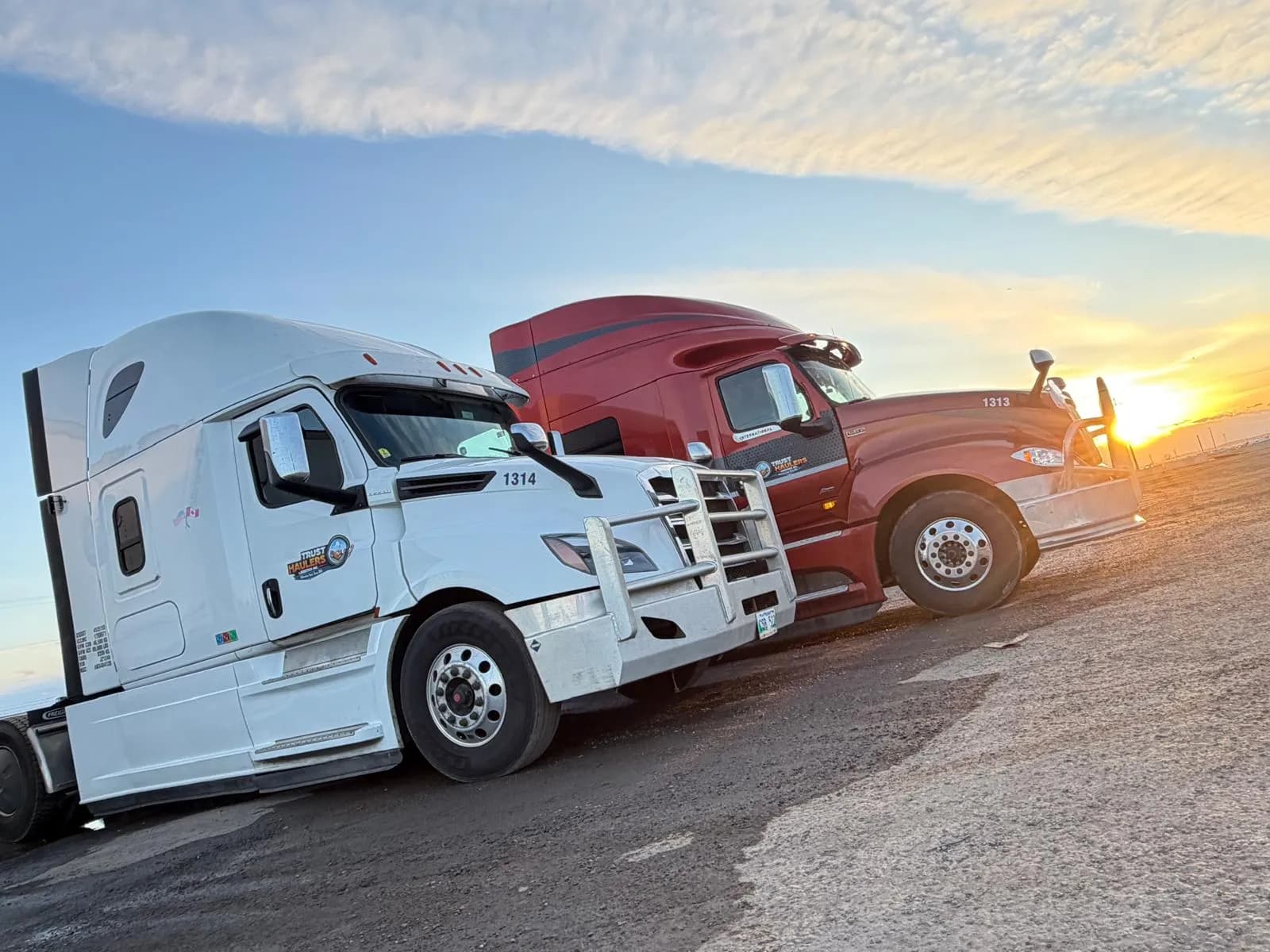 White and red Trust Haulers trucks parked side by side at sunset