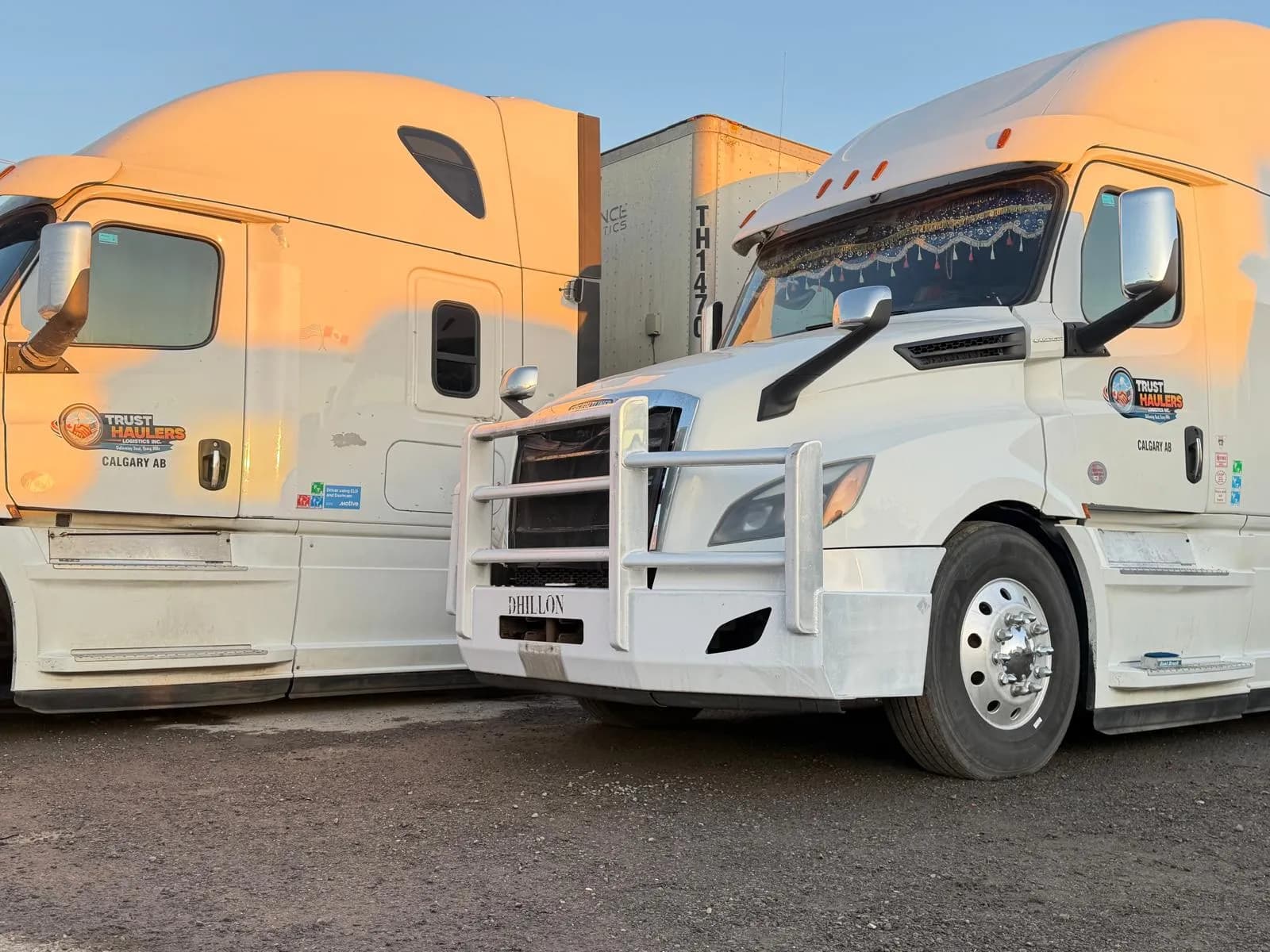 Two white Trust Haulers trucks with Calgary branding in warm evening light